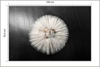 Fototapeta Buty Do Baletu Na Białej Tutu - obrazek 3