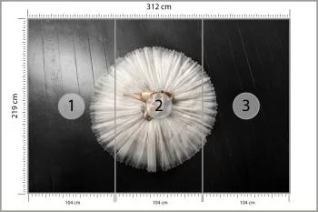 Fototapeta Buty Do Baletu Na Białej Tutu - obrazek 3