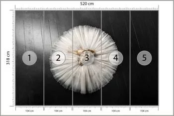 Fototapeta Buty Do Baletu Na Białej Tutu - obrazek 3