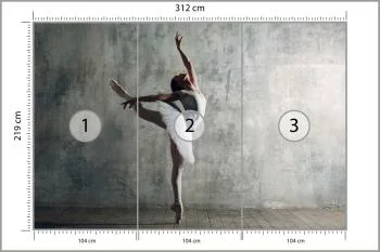 Fototapeta Tańcząca Baletnica Na Tle Betonowej Ściany - obrazek 3
