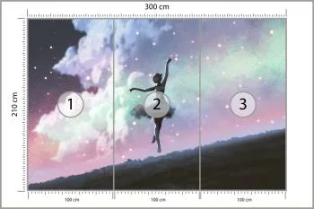 Fototapeta Baletnica Tańcząca Na Tle Nocnego Nieba - obrazek 3