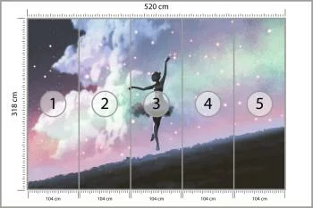 Fototapeta Baletnica Tańcząca Na Tle Nocnego Nieba - obrazek 3