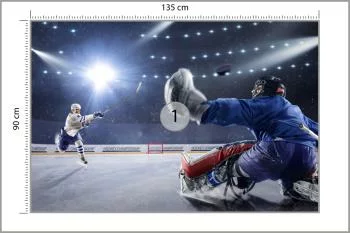 Fototapeta Strzał Hokeisty - obrazek 3