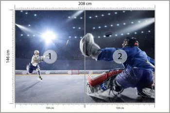 Fototapeta Strzał Hokeisty - obrazek 3