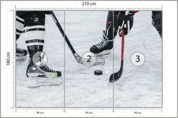 Fototapeta Mecz Hokeja - obrazek 3