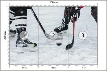 Fototapeta Mecz Hokeja - obrazek 3