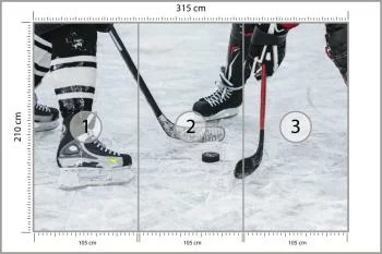 Fototapeta Mecz Hokeja - obrazek 3
