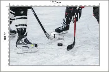 Fototapeta Mecz Hokeja - obrazek 3