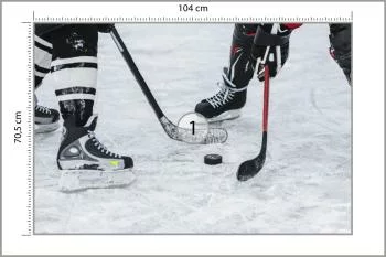 Fototapeta Mecz Hokeja - obrazek 3