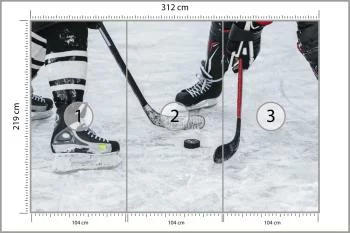 Fototapeta Mecz Hokeja - obrazek 3