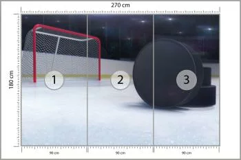 Fototapeta Krążki Hokejowe - obrazek 3