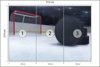 Fototapeta Krążki Hokejowe - obrazek 3