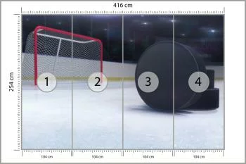 Fototapeta Krążki Hokejowe - obrazek 3
