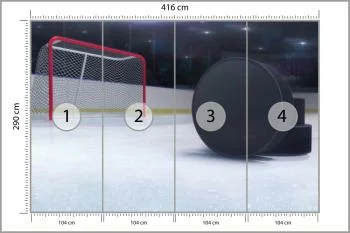 Fototapeta Krążki Hokejowe - obrazek 3
