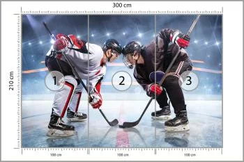 Fototapeta Początek Meczu Hokejowego - obrazek 3