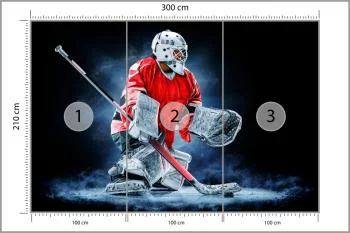 Fototapeta Bramkarz Hokejowy - obrazek 3
