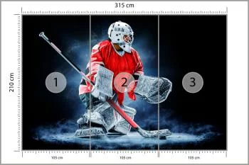 Fototapeta Bramkarz Hokejowy - obrazek 3
