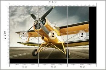 Fototapeta Zabytkowy Samolot - obrazek 3