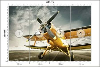 Fototapeta Zabytkowy Samolot - obrazek 3