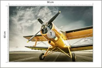 Fototapeta Zabytkowy Samolot - obrazek 3