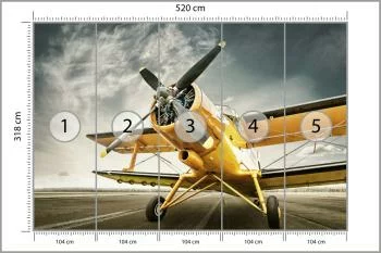 Fototapeta Zabytkowy Samolot - obrazek 3