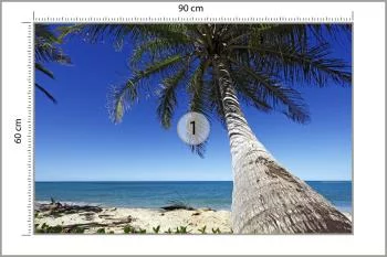 Fototapeta Plaża Ocean Palmy - obrazek 3