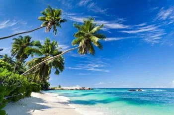 Fototapeta Plaża Ocean Palmy - obrazek 2
