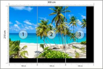 Fototapeta Plaża Ocean Palmy - obrazek 3
