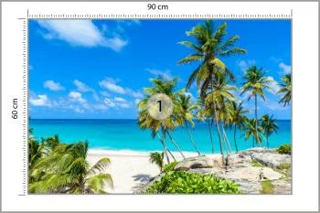 Fototapeta Plaża Ocean Palmy - obrazek 3