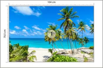 Fototapeta Plaża Ocean Palmy - obrazek 3