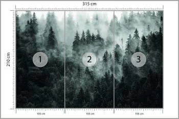 Fototapeta Las We Mgle - obrazek 3