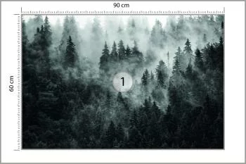 Fototapeta Las We Mgle - obrazek 3