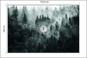 Fototapeta Las We Mgle - obrazek 3