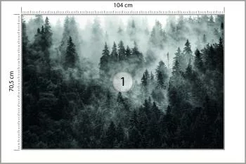 Fototapeta Las We Mgle - obrazek 3