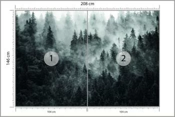 Fototapeta Las We Mgle - obrazek 3