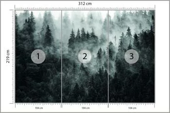 Fototapeta Las We Mgle - obrazek 3