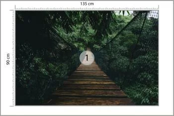 Fototapeta Wiszący Most W Lesie - obrazek 3