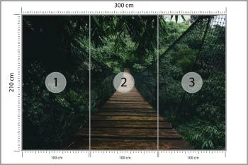 Fototapeta Wiszący Most W Lesie - obrazek 3