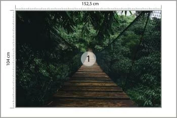 Fototapeta Wiszący Most W Lesie - obrazek 3
