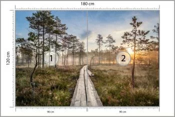 Fototapeta Drewniana Ścieżka W Lesie - obrazek 3