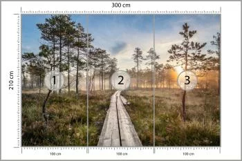 Fototapeta Drewniana Ścieżka W Lesie - obrazek 3