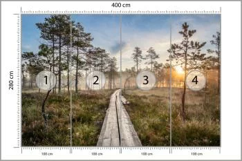 Fototapeta Drewniana Ścieżka W Lesie - obrazek 3