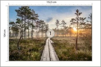 Fototapeta Drewniana Ścieżka W Lesie - obrazek 3