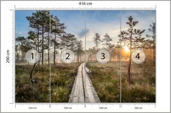 Fototapeta Drewniana Ścieżka W Lesie - obrazek 3