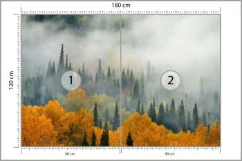 Fototapeta Mgła Nad Jesiennym Lasem - obrazek 3