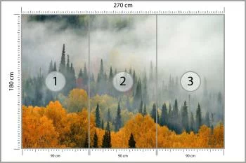 Fototapeta Mgła Nad Jesiennym Lasem - obrazek 3