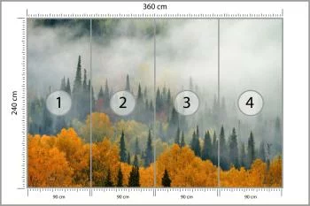 Fototapeta Mgła Nad Jesiennym Lasem - obrazek 3