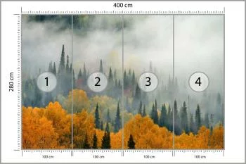 Fototapeta Mgła Nad Jesiennym Lasem - obrazek 3