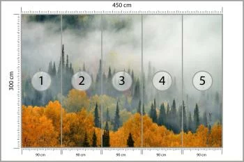 Fototapeta Mgła Nad Jesiennym Lasem - obrazek 3