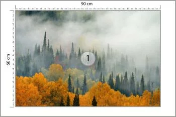 Fototapeta Mgła Nad Jesiennym Lasem - obrazek 3